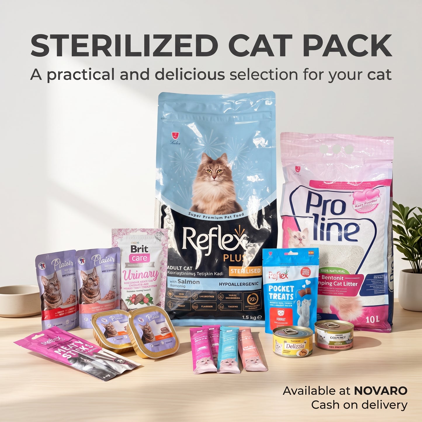 PACK GOURMAND CHAT STÉRILISÉ