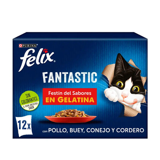 Purina Felix Fantastique Festin de Saveurs en Gélatine 12x85g