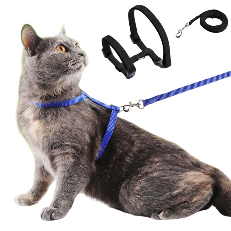 Harnais réglable rouge avec laisse pour chat