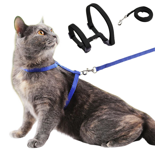 Harnais réglable rouge avec laisse pour chat