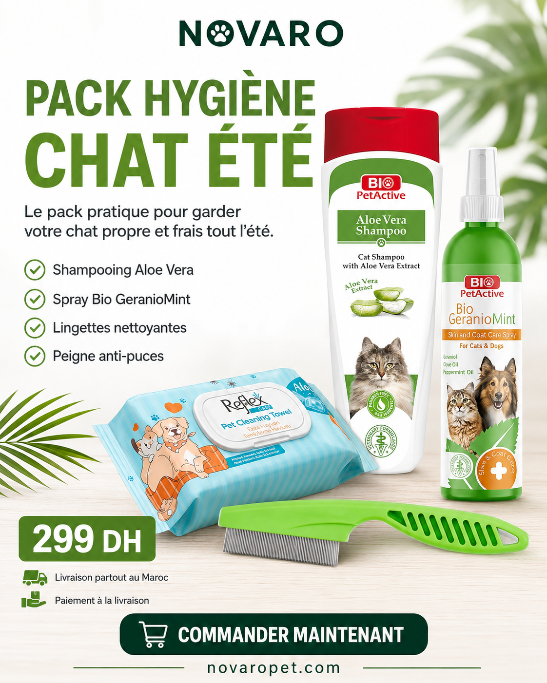 Pack Été Chat NOVARO 4 en 1 à 299 DH