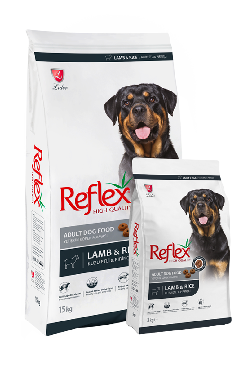 Reflex chien adulte agneau