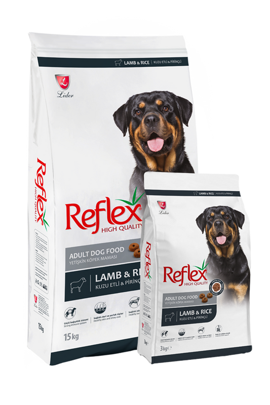 Reflex chien adulte agneau