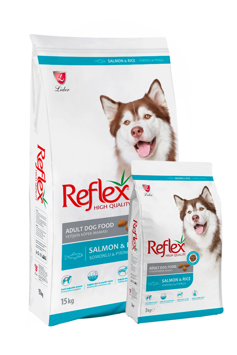 Reflex chien adulte saumon