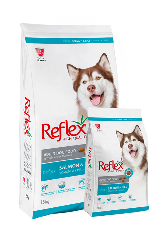 Reflex chien adulte saumon