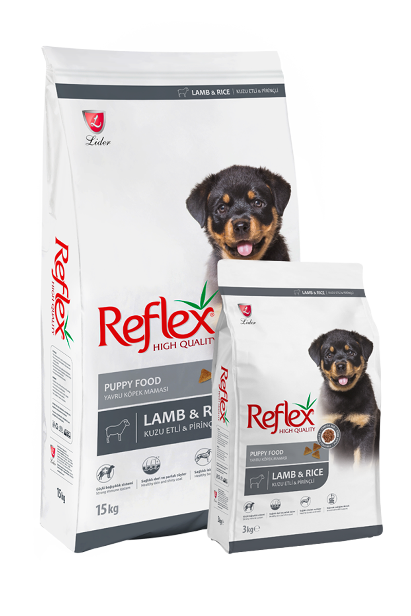 Reflex chiot agneau