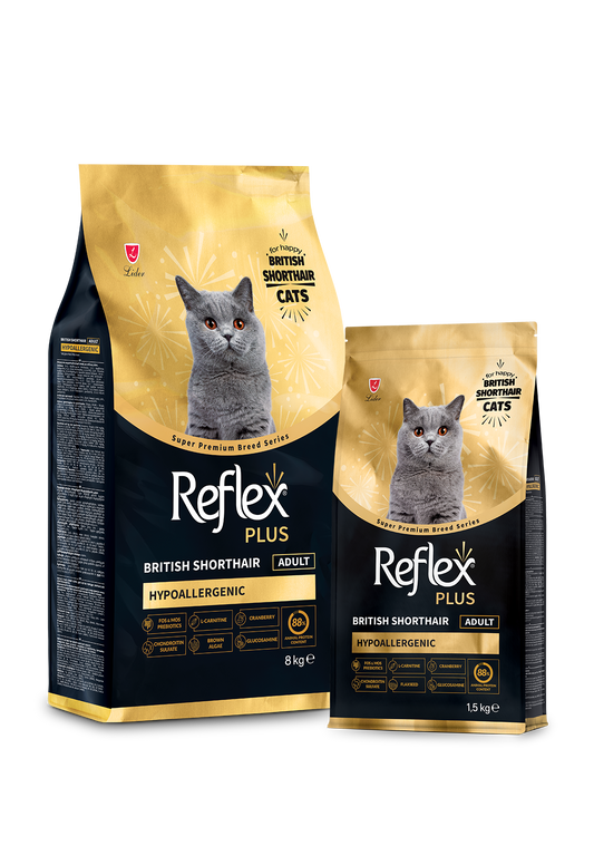 Reflex Plus British Shorthair Yetişkin Kedi Maması