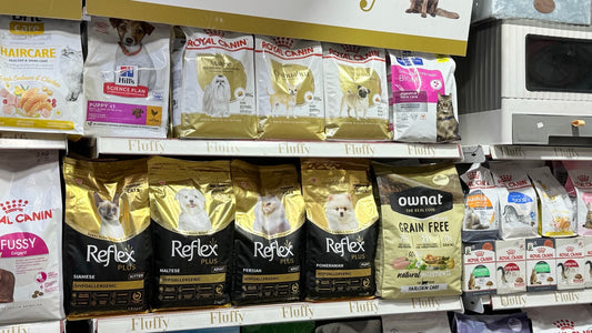 Royal Canin Pug Adult - photo rayon