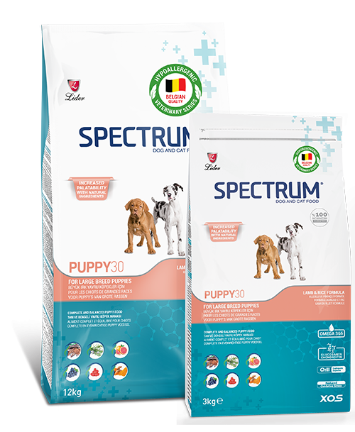 Spectrum Puppy30 Large Breed Agneau 3 kg